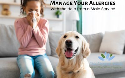 Managing Allergies in Charlotte NC