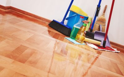 What Should You Expect From a House Cleaner