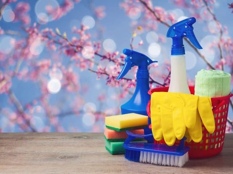 How Often Should You Schedule Professional Cleanings? | House Cleaning in Weddington NC